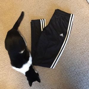 Adidas Pants